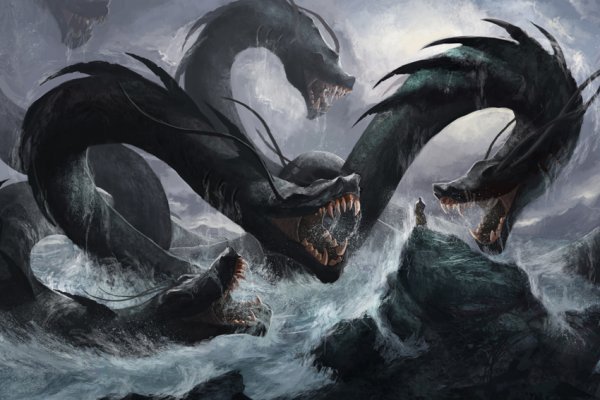 Как найти kraken